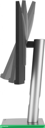 Монитор Asus ProArt PA24ACRV черный (90LM08Y0-B01M70)