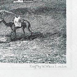 Вилкинс В. Вид на Арарат. Гравюра на металле. Из «Вселенной Мейера», 1835 г.