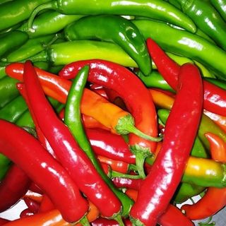 Перец острый Блэйд F1  500 (семян)