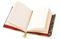 Bloknot \ Блокнот \ Notebook Anna Stead: Deep in the Forest (Foiled Journal)