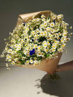 Летний солнечный букет с танацетумом и ароматными пионами Сара Бернард (С0034)