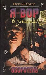 Я - вор в законе. Оборотень
