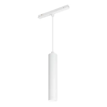 Светильник MAG-ORIENT-SPOT-HANG-R45-12W Day4000 (WH, 24 deg, 48V) (Arlight, IP20 Металл, 5 лет) 035828