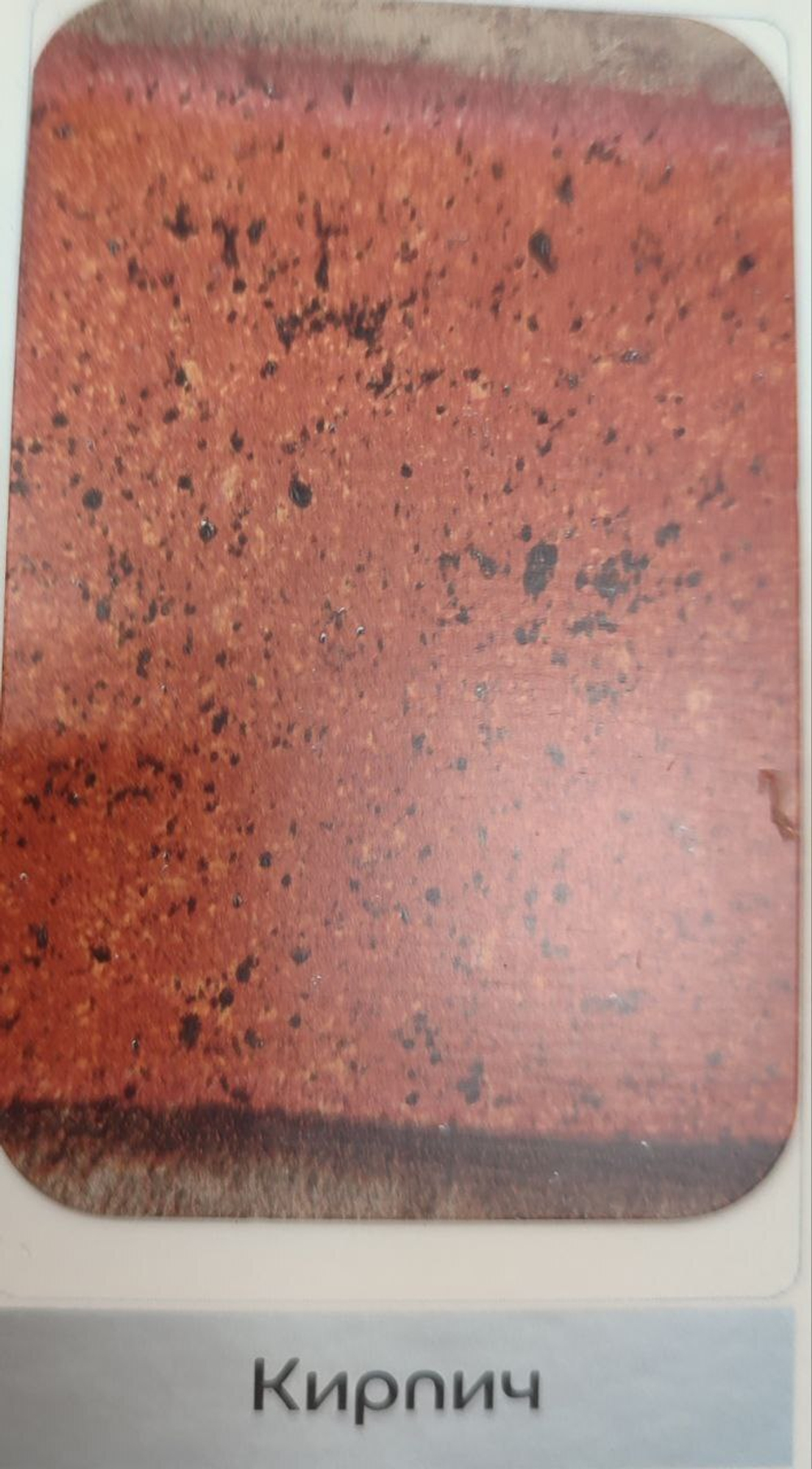 Профлист С-8 ECOSTEEL Кирпич глянц. 0,5 мм