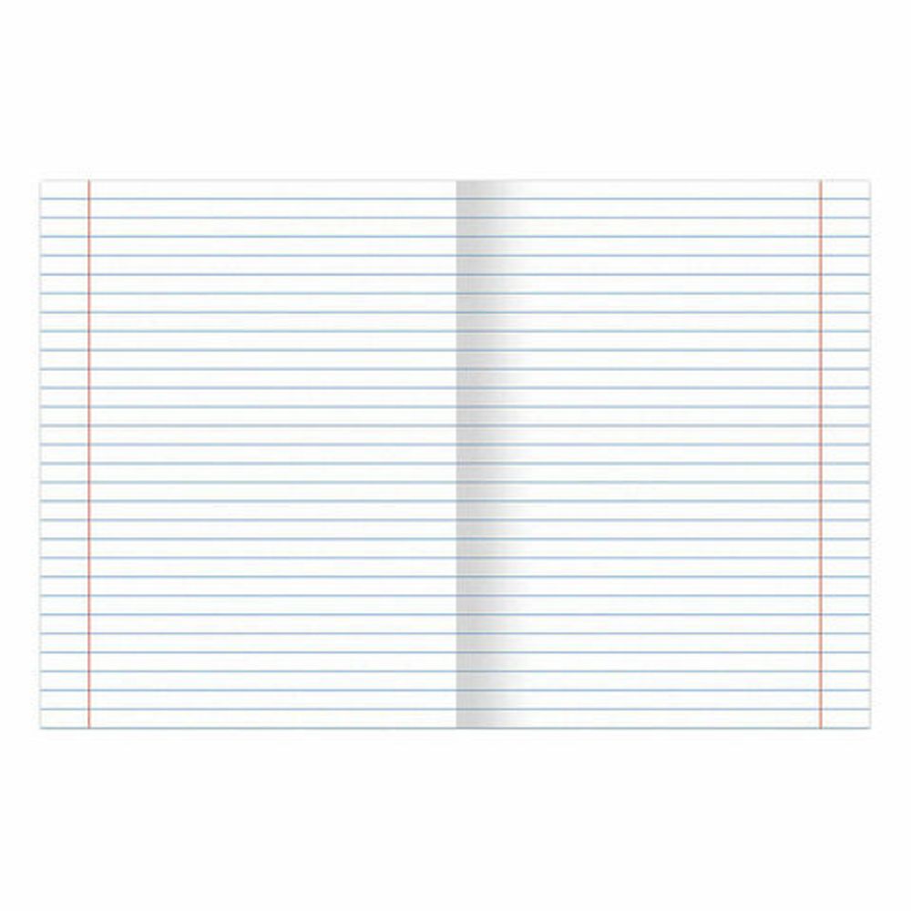 Тетради предметные, КОМПЛЕКТ 12 ПРЕДМЕТОВ, "DELIGHT", 48 л., обложка картон, BRAUBERG, 404606