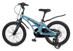 Maxiscoo COSMIC Стандарт 18'' (2025)