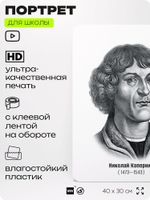 Портрет для школы в кабинет астрономии "Николай Коперник", стенд школьный для класса, деятели науки для оформления классного уголка, 40х30 см, Silver Plane x Айдентика Технолоджи