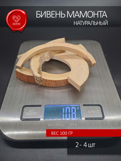 Корка бивня мамонта для коллекции