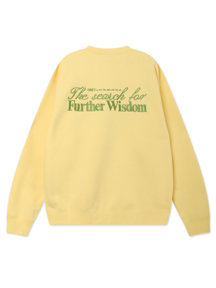 Мужская Толстовка Further Wisdom