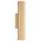 Настенный светильник Lightstar Roma 718623