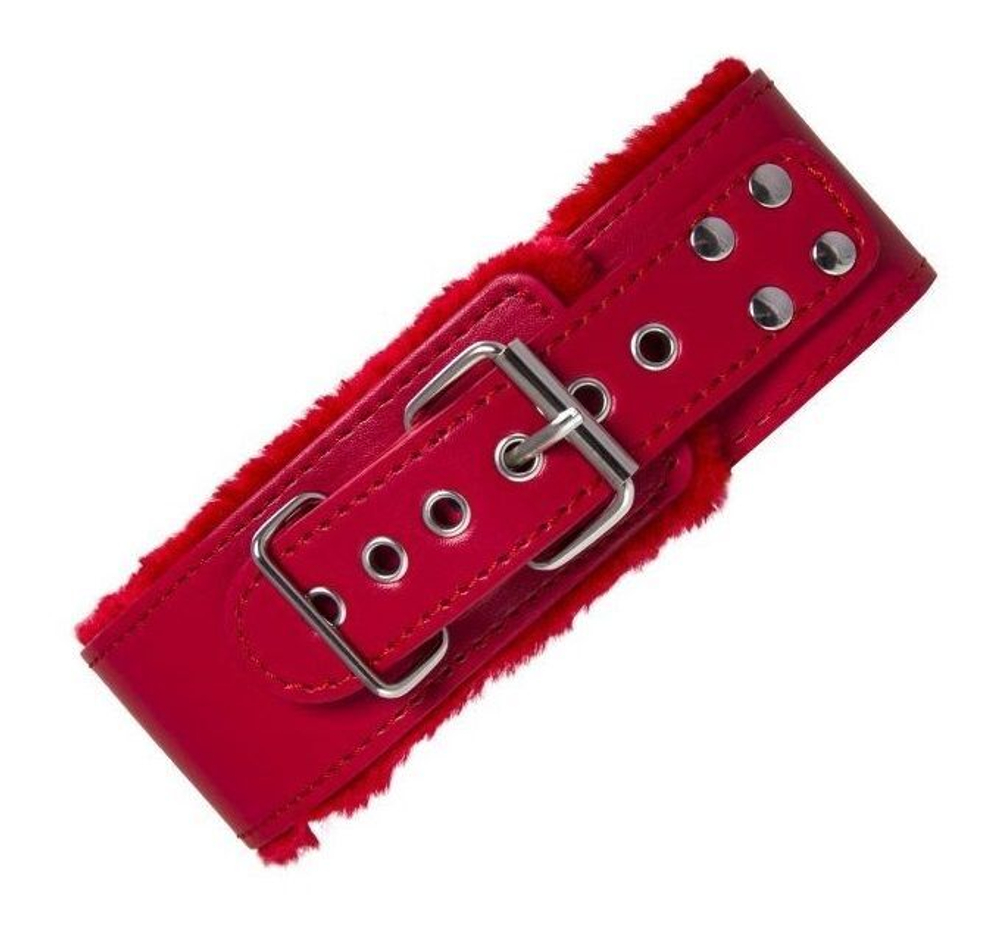 Красный ошейник с металлической фурнитурой