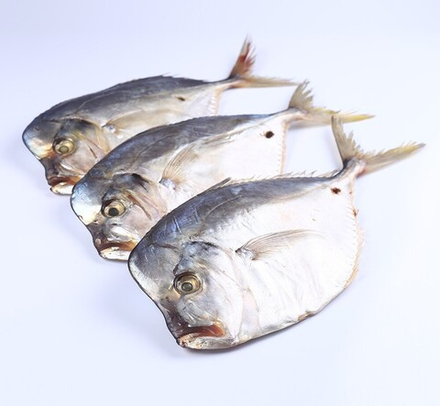 Вомер н/р с/м