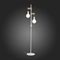 Торшер Evoluce Bagetti SL1142.505.01