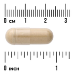 Swanson Vitamins, Хвощ, 500 мг, 90 капсул