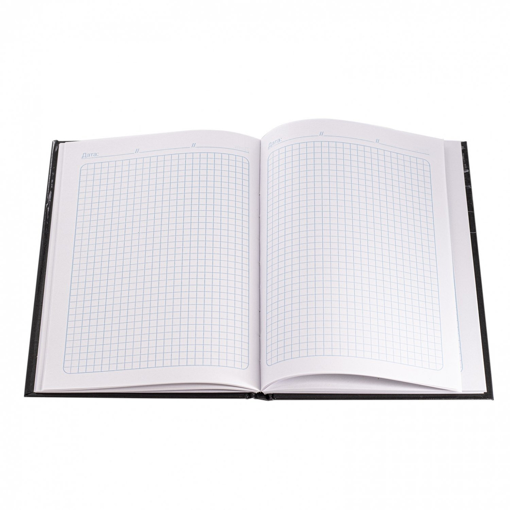 Ежедневник недатированный, А5, 7БЦ, Alingar, ламинация, 80 л., клетка, "Город"