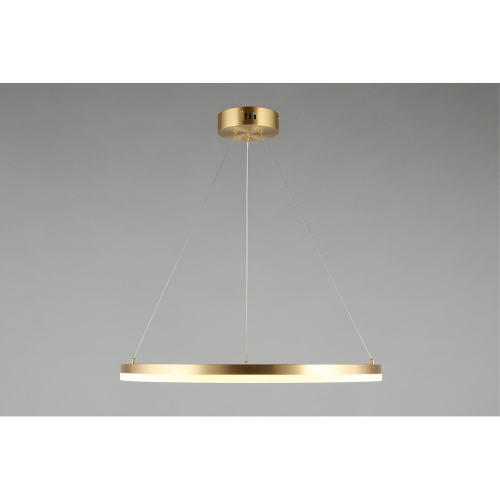 Подвесная светодиодная люстра Aployt Armel APL.049.13.40