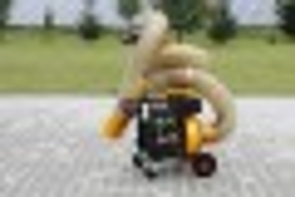 Парковый пылесос LASKI VD455Р2 VD 455Р2