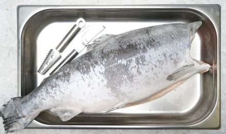 Кижуч Премиум б/г, 3,6-4,5 вес