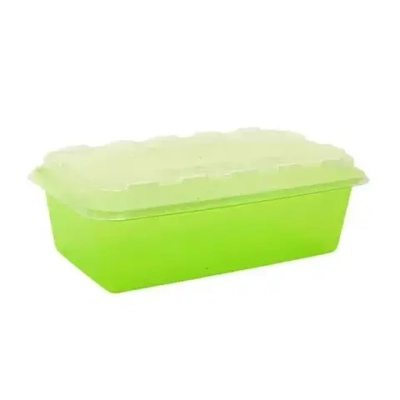 Контейнер для заморозки ZIP киви