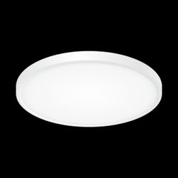 Citilux Бейсик CL738320V Светильник накладной Белый