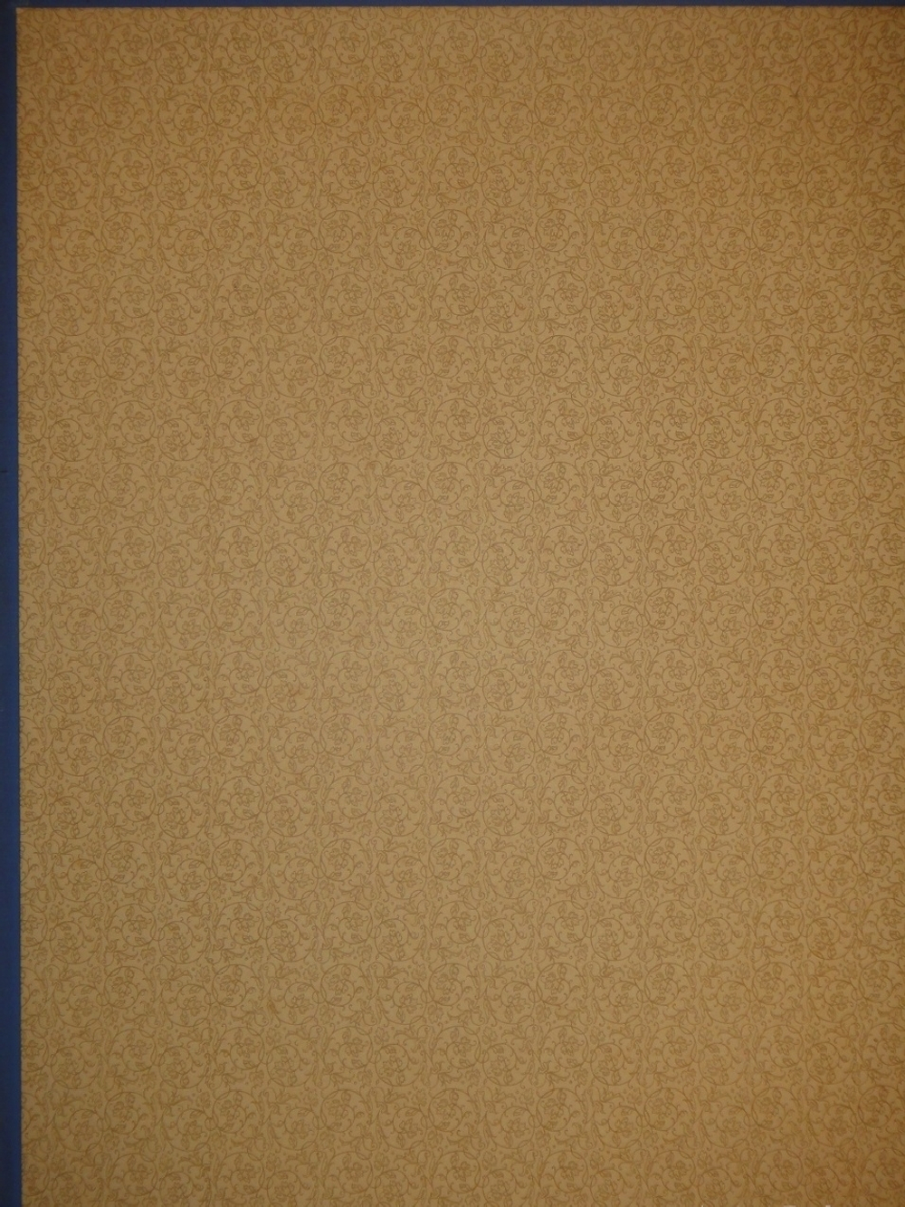 Путешествие на Восток Его Императорского Высочества Государя Наследника. 1890-1891. Том III. Путешествие Государя Императора Николая II на Восток ( 1891 )