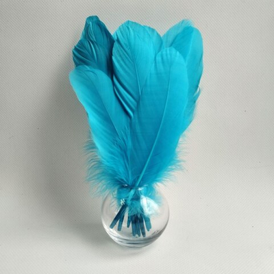 Гусиные перья светло-голубые ровные 20шт.