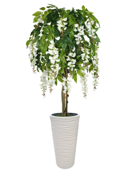 Искусственное дерево Акация белая 170 см в высоком круглом белом кашпо