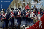 Napoleonic Duchy of Warsaw Infantry Battalion 1807-141807-14