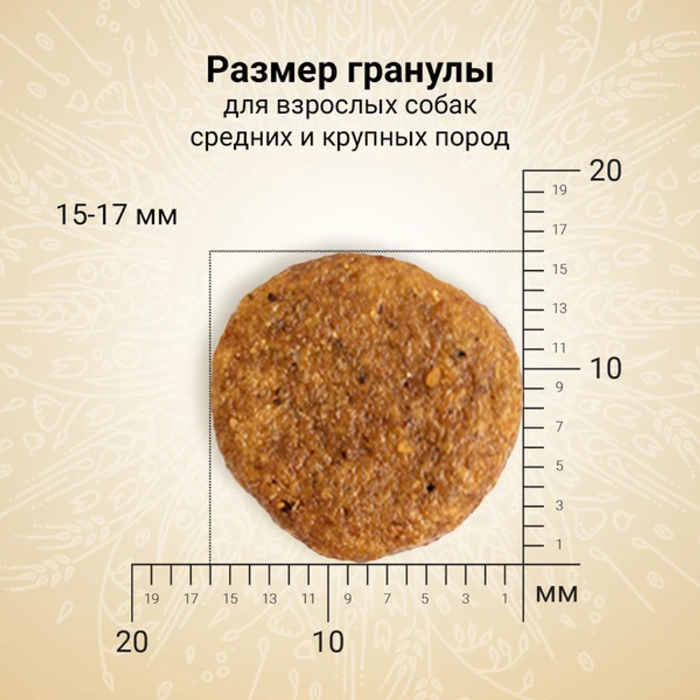 Уценка! Срок 03.08.26 Сухой корм CRAFTIA NATURA для взрослых собак средних и крупных пород из ягненка с перепелкой