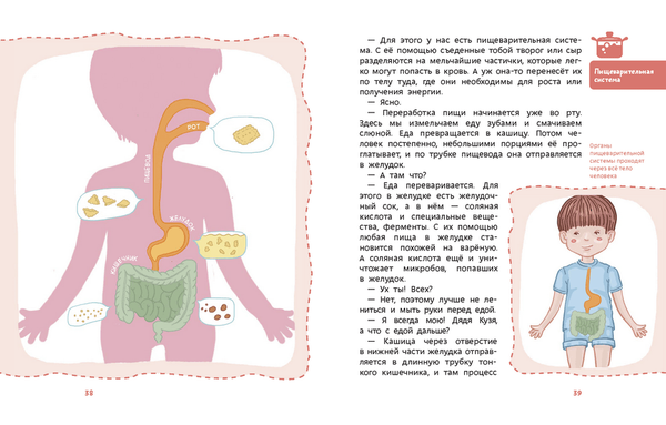 Как устроен человек. Детская энциклопедия (мягкая обложка)