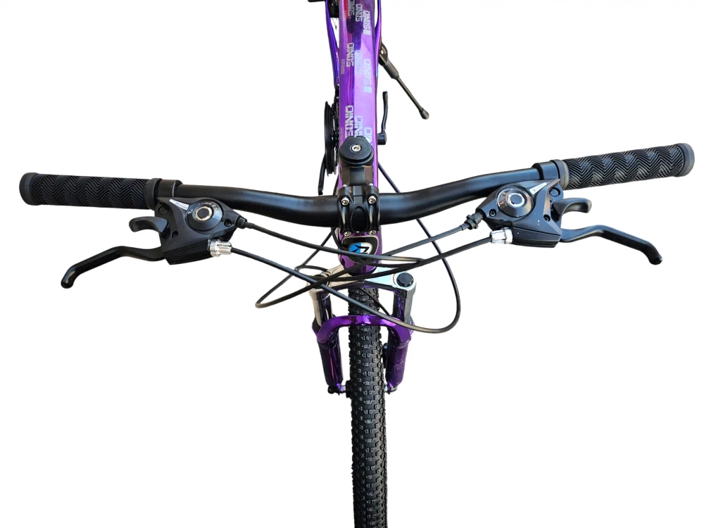 Велосипед Dinos 26" 21скор (стальная рама, диск. тормоз, Литые диски 6 лучей) Фиолетовый (DIN-40-1)