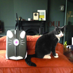 Чемодан на колесиках Trunki Cat Benny