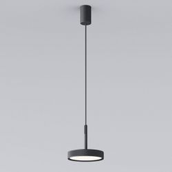 Подвесной светильник Elektrostandard Plate a065411