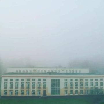 туман