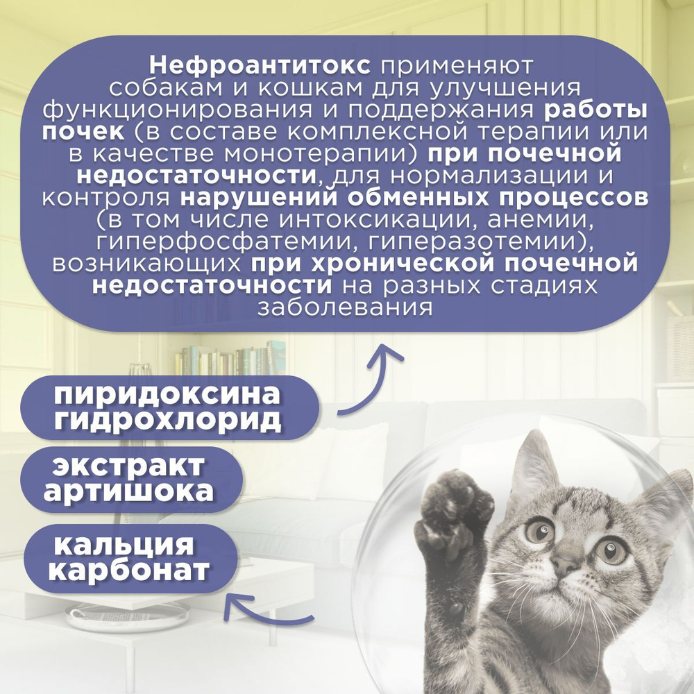 Нефроантитокс порошок банка, 100 гр