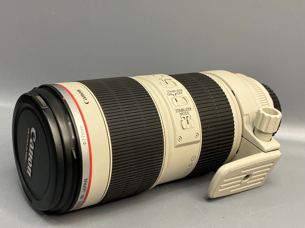 Canon EF 70-200mm 2.8L IS II USM