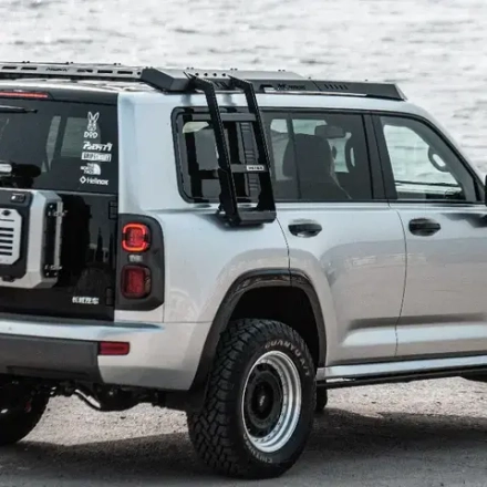 Боковая лестница MEIKA для HAVAL H9 2024+ Хавал Хавейл подножки лестница