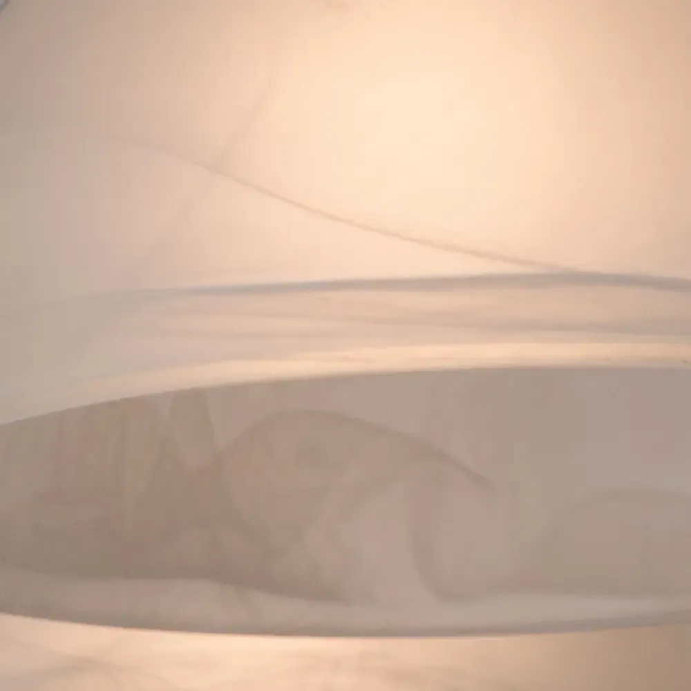 Потолочная люстра Arte Lamp