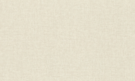 Rasch 1.06m*10m 970531 Jolly