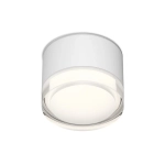Накладной светильник Denkirs Aqua DK-DH2610-WH