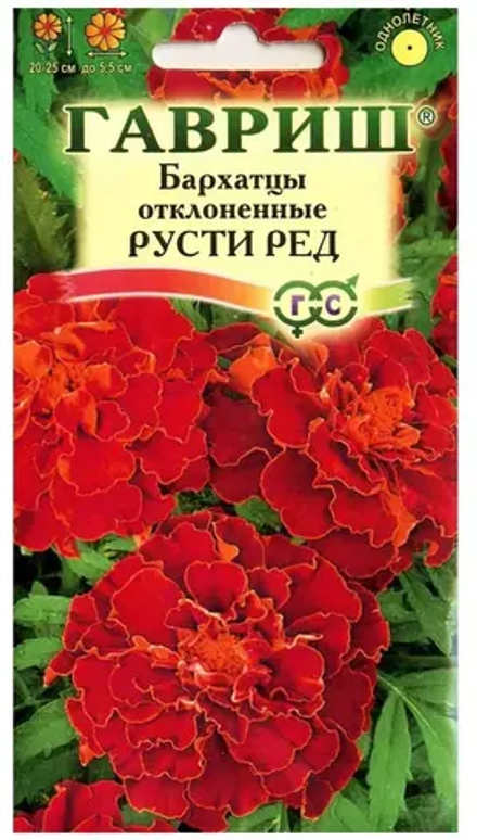 Бархатцы отклоненные Русти Ред