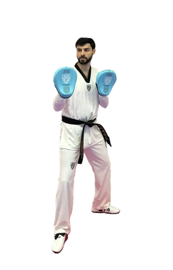 Лапа тренерская ProfSport ProfStyle