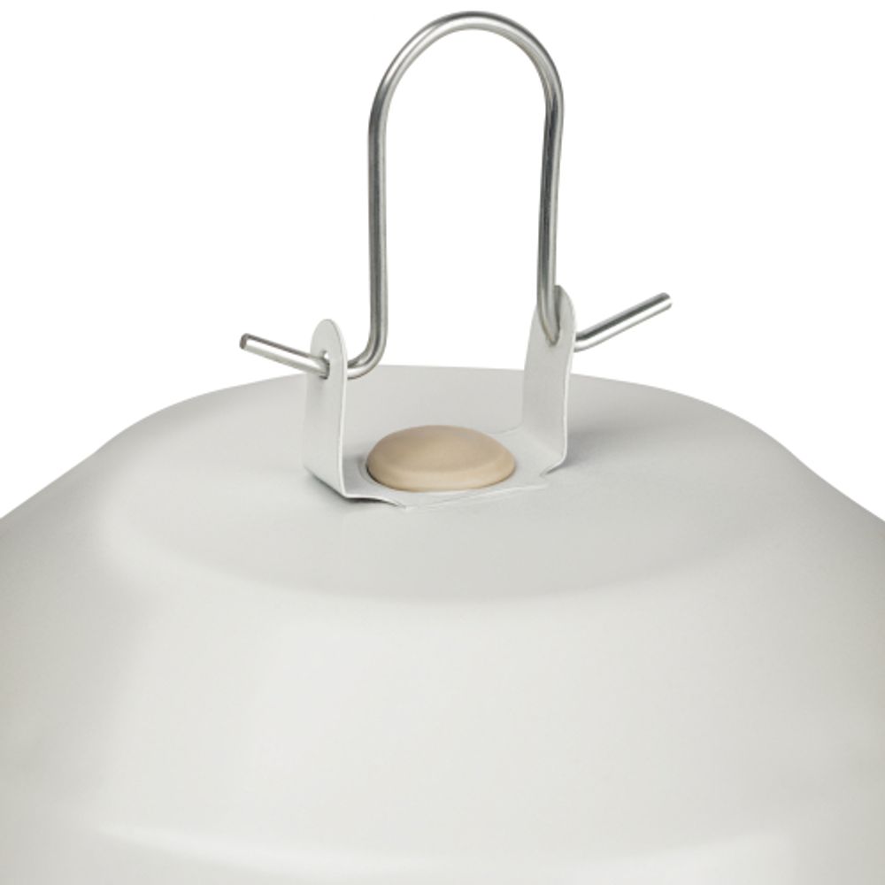 Светильник ЭРА НСП 02-100-001 без решетки Желудь сталь / стекло IP54 E27 max 100Вт 262х172 белый