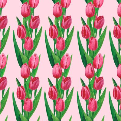 Розовые тюльпаны