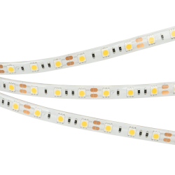 Светодиодная лента герметичная RTW-SE-B60-10mm 12V White6000 (14.4 W/m, IP65, 5060, 5m) (Arlight, -) 014636(2)