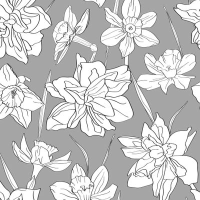 Нарциссы в графическом стиле. Чёрно-белые ботанические элементы.