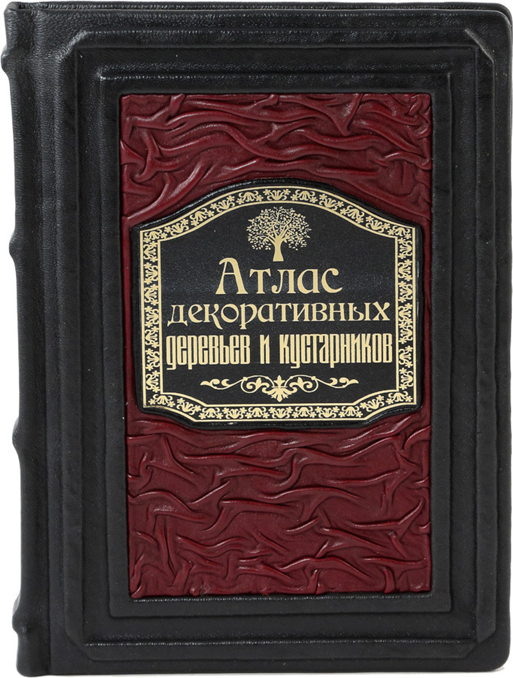 Атлас декоративных деревьев и кустарников