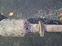 Катализатор Geely Atlas (2016-2022)