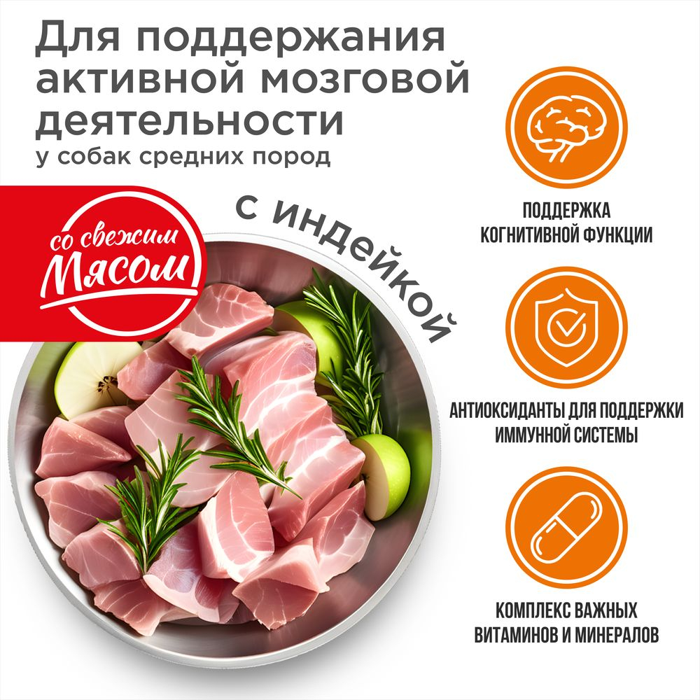 Корм сухой для взрослых собак средних пород, премиум полнорационный комплекс, забота о памяти и мозговой активности, с индейкой, 2,5 кг, QUATTRO