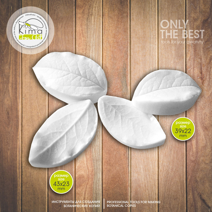 Черника / голубика листья